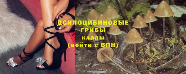 a pvp Беломорск