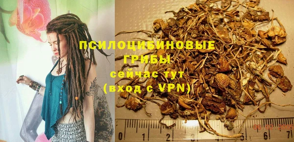первитин Белоозёрский